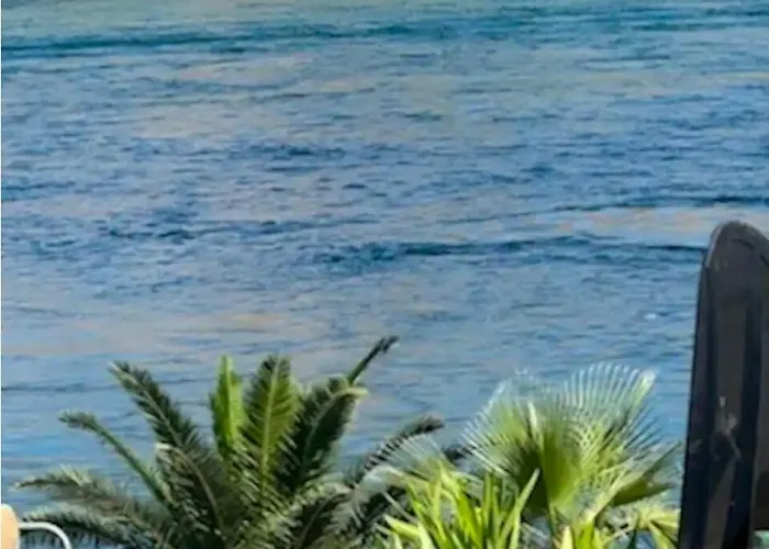 Spongebob Squarepants On The River